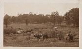 Henshaw Farm